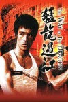 猛龍過江電影海報